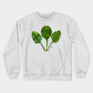 Spinach leaves Crewneck Sweatshirt